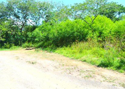 Residential land - 2811 m²