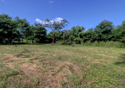Residential land - 2955 m²