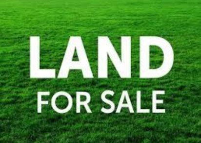 Residential land - 295.46 m²