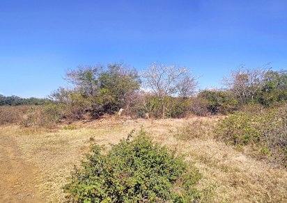 Residential land - 2 104.58 m²