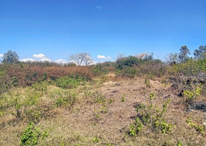 Residential land - 2 104.58 m²