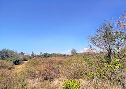 Residential land - 2 104.58 m²