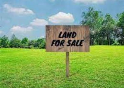 Residential land - 337.67 m²