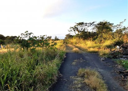 Residential land - 4220 m²