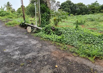Residential land - 431.33 m²