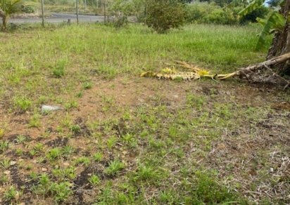 Residential land - 444.50 m²