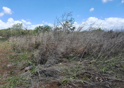 Residential land - 5389 m²