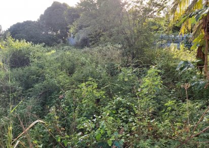 Residential land - 539 m²