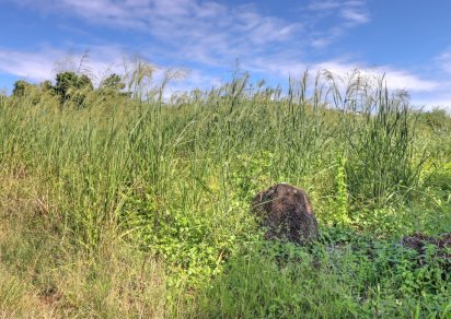 Residential land - 580 m²