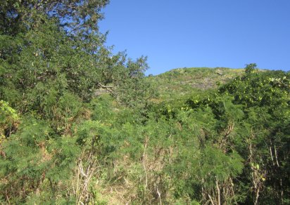 Residential land - 7851 m²