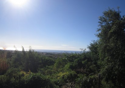 Residential land - 7851 m²