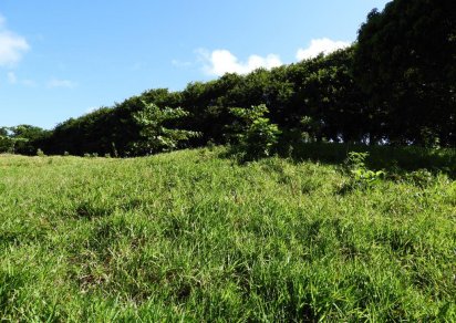 Residential land - 8442 m²