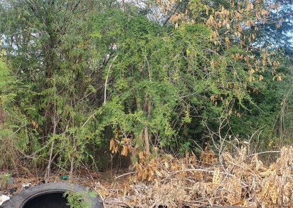 Residential land - 913 m²