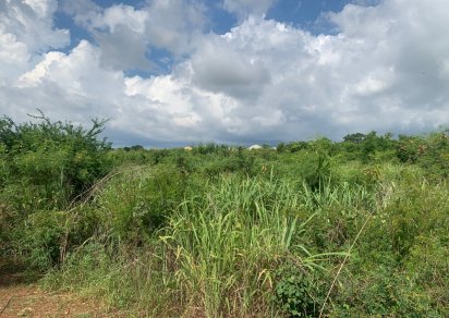 Residential land - 988 m²