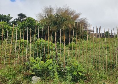 Terrain agricole - 1055 m²