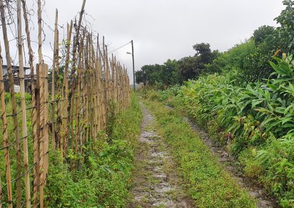 Terrain agricole - 1055 m²