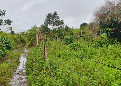 Terrain agricole - 1055 m²