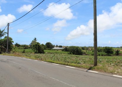Terrain agricole - 11099 m²
