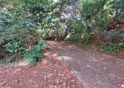 Terrain agricole - 11460 m²