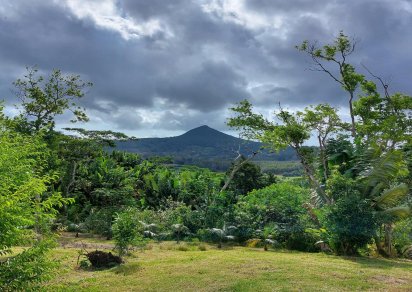 Terrain agricole - 11460 m²
