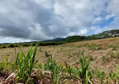 Terrain agricole - 11460 m²
