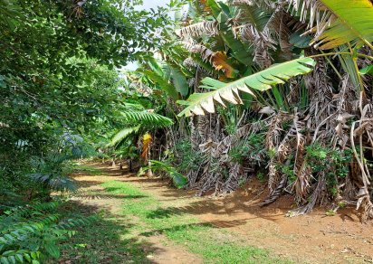 Terrain agricole - 11460 m²
