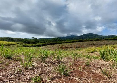 Terrain agricole - 11460 m²