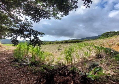 Terrain agricole - 11460 m²