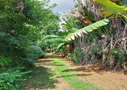 Terrain agricole - 11460 m²