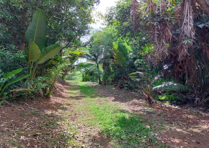 Terrain agricole - 11460 m²