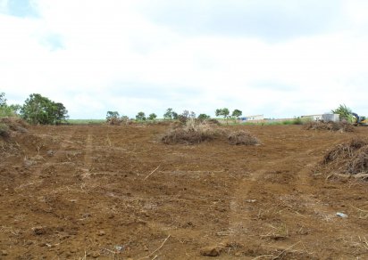 Terrain agricole - 12975 m²