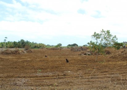 Terrain agricole - 12975 m²