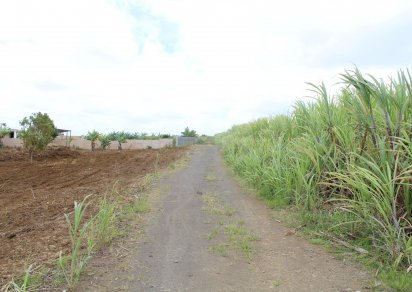 Terrain agricole - 12975 m²