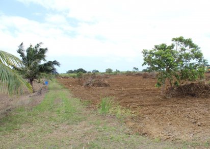 Terrain agricole - 12975 m²