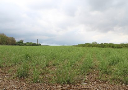 Terrain agricole - 16887 m²