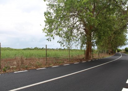 Terrain agricole - 16887 m²