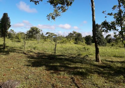 Terrain agricole - 16887 m²