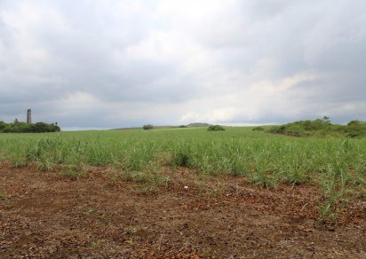 Terrain agricole - 16887 m²