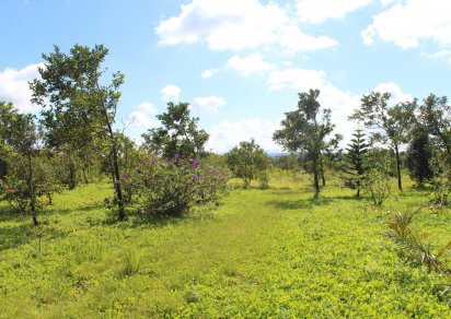 Terrain agricole - 16887 m²