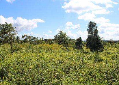 Terrain agricole - 16888 m²