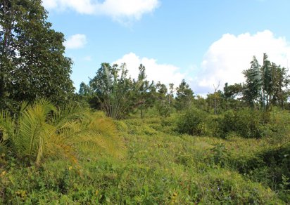 Terrain agricole - 16888 m²