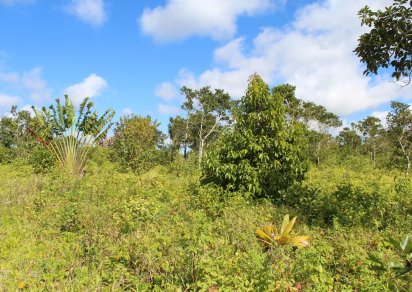Terrain agricole - 16888 m²