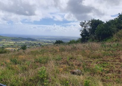 Terrain agricole - 2079 m²