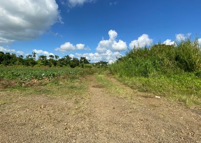 Terrain agricole - 2299 m²