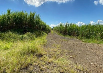 Terrain agricole - 2299 m²