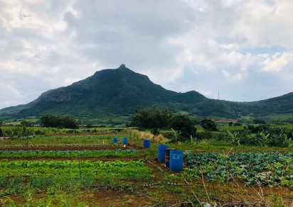 Terrain agricole - 2328 m²