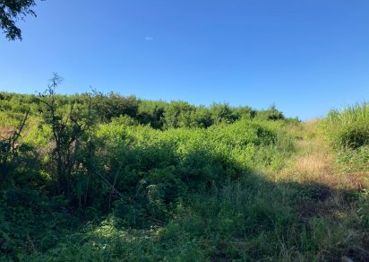 Terrain agricole - 3 946.51 m²
