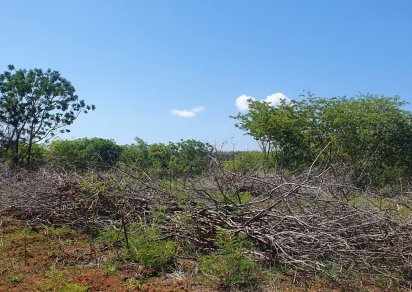 Terrain agricole - 4221 m²