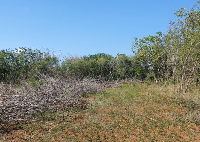 Terrain agricole - 4221 m²