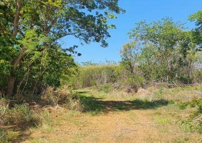 Terrain agricole - 4221 m²